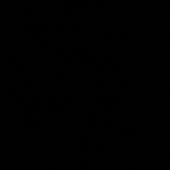 Meet your Posher, Nicole - Picture 1 of 1